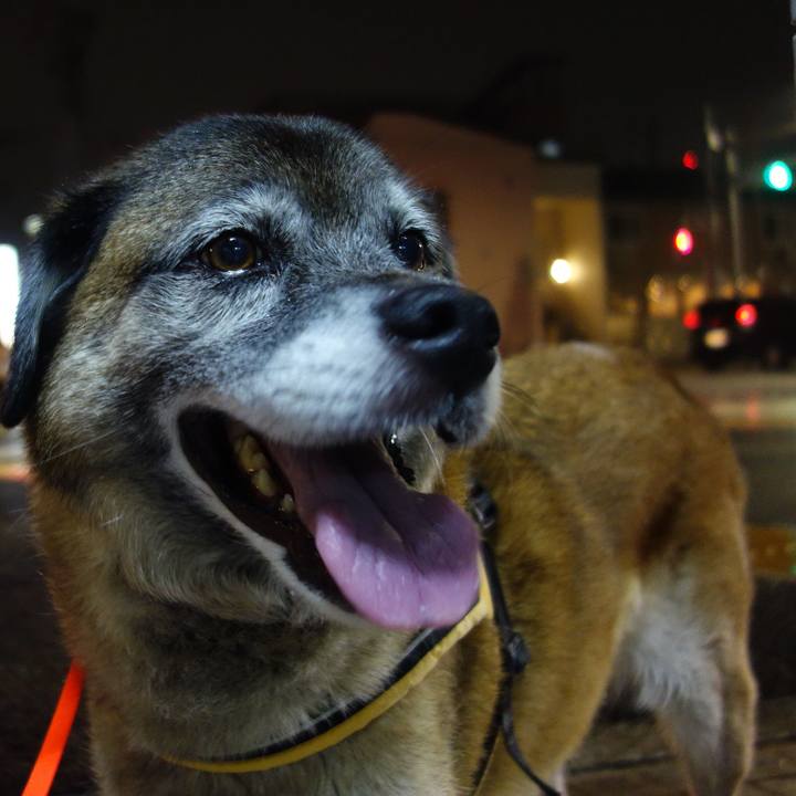 C72ec39b 855c 4475 83e2 2f7952c1ff9c 1643157911627