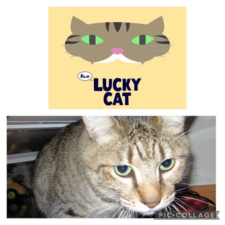 C72ec709 3b21 4bc0 a427 3527d79f758d 1679484228002