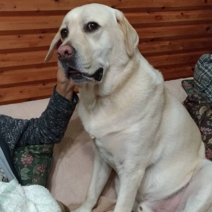 C72ed46e 233d 4a76 897f fff59928ba10 1573645351055