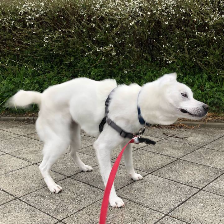 C72ef0e9 dd10 49a3 9e01 0bb40e746f25 1551566776770