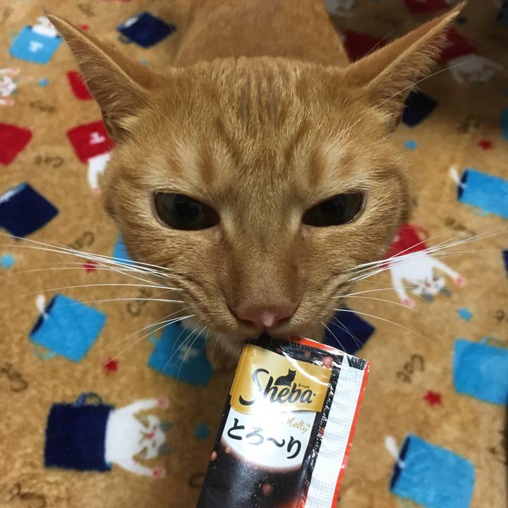 C72efb7e 71f2 469d b356 779eddc5e44e 1538835329744