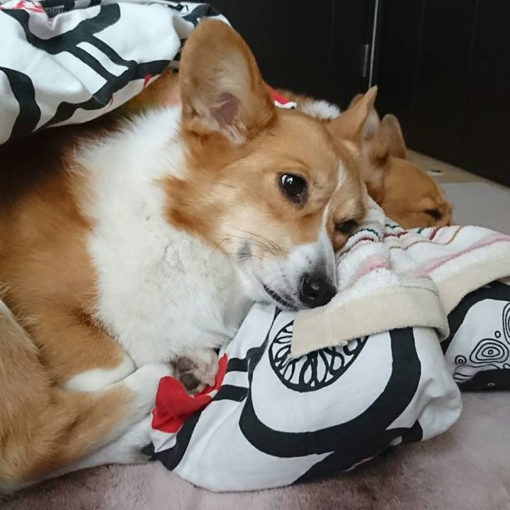 C72f0a31 0b47 4b3e bfcb 7cd069a8e5bc 1514686230340