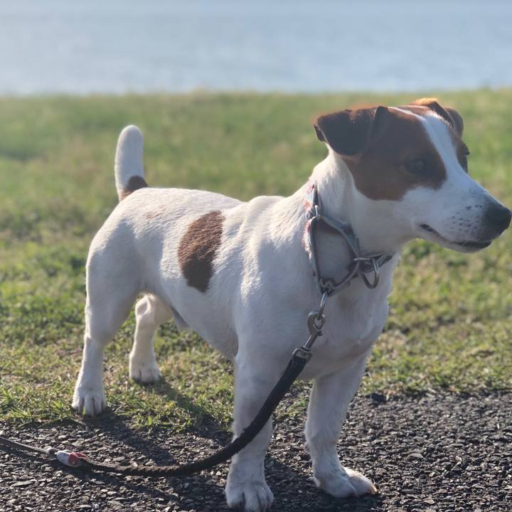 C72f37bc e538 4f20 8c25 661324dc858a 1556957810067