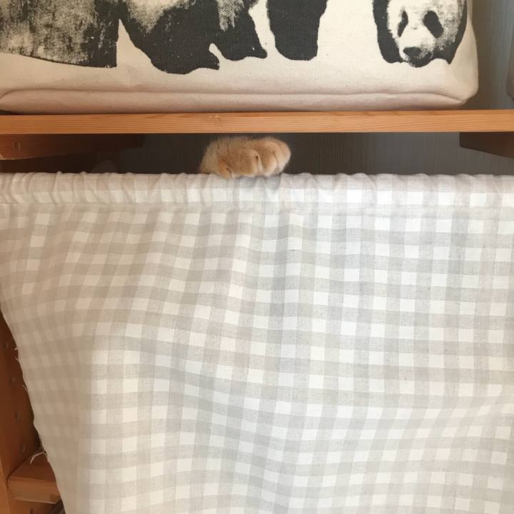 C72f389a 27f2 40c9 9e6b 193844118001 1530141831567