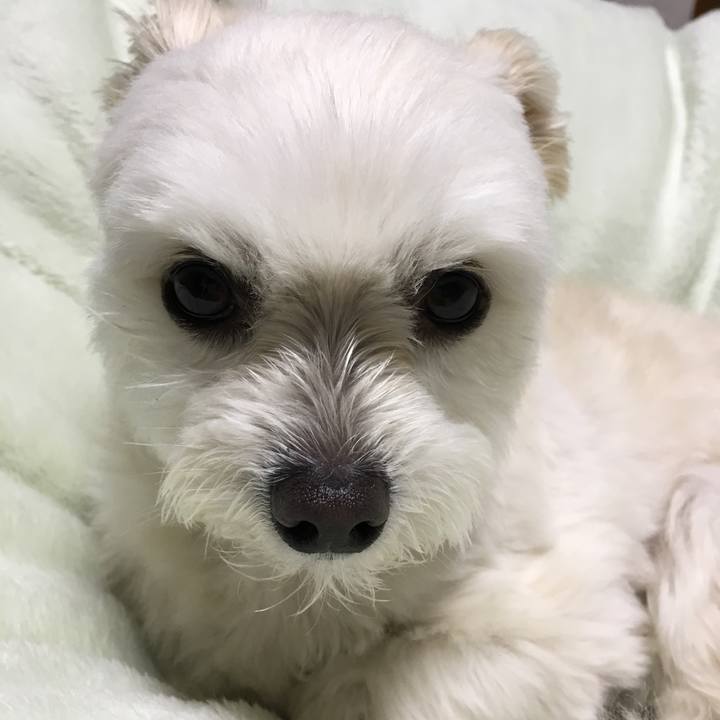 C72f6724 aa3c 42c8 8609 bb6ae501e106 1553165485466