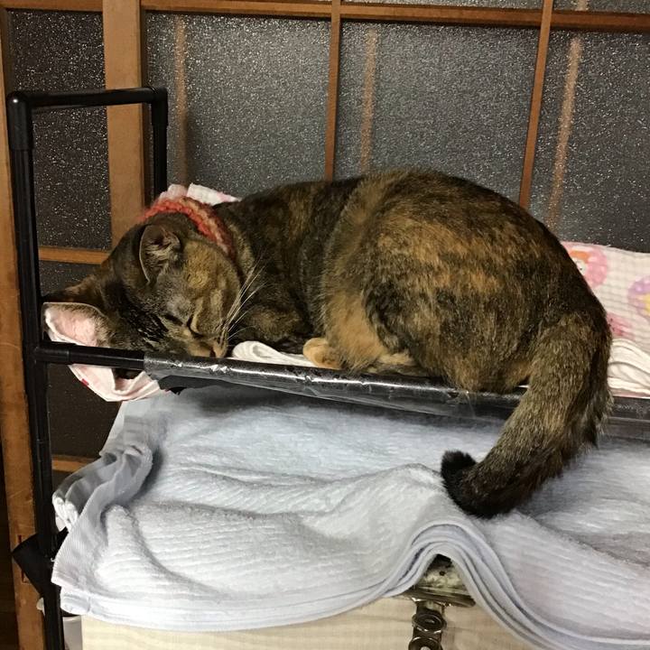 C72fcff2 d770 443c 84d3 ceb904ab0382 1632647703598