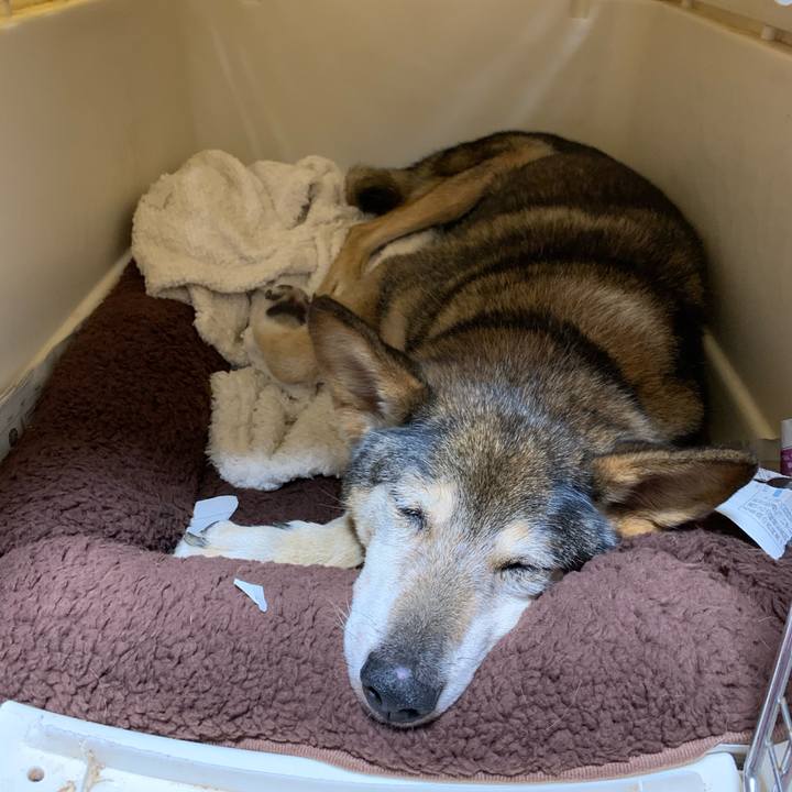 C72fdf39 76c2 4244 ab77 0b5105405b9f 1575071400075