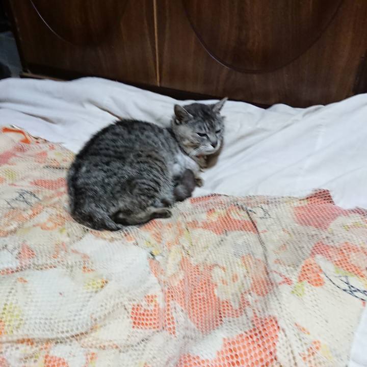 C72fe46a 683e 4513 8829 a26bc717232f 1591099880624