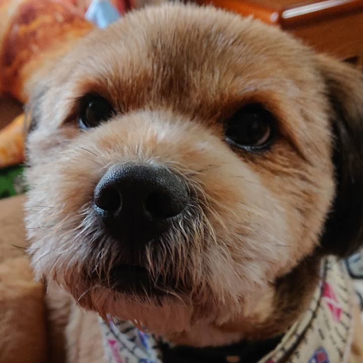 C72fe892 f178 4c9d 8df8 46f629a8f3cb 1551657495777