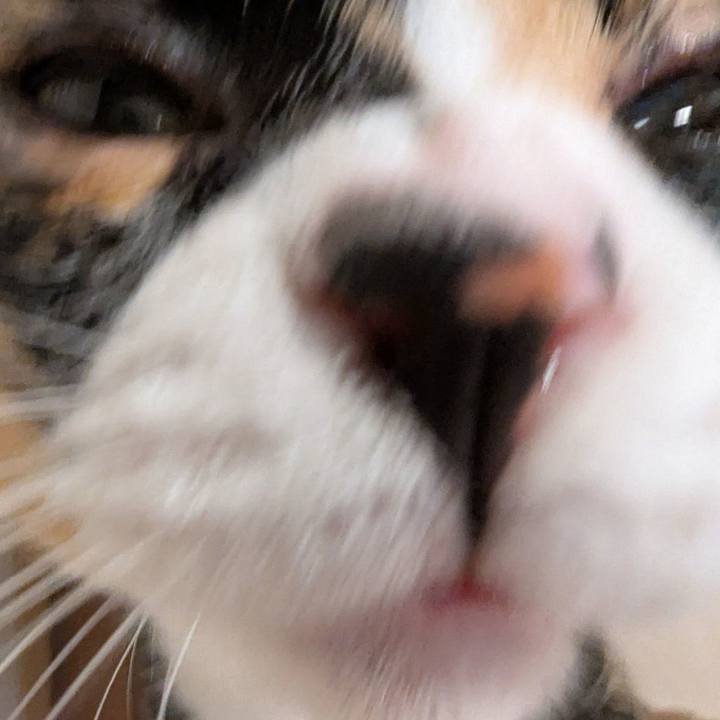 C73002c8 84f4 43cb 9a96 54bd78c2df09 1754091442790