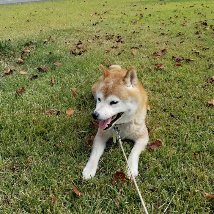 C730118f 1c5b 4b8c 9a14 0fc3efddf4da 1695788922436