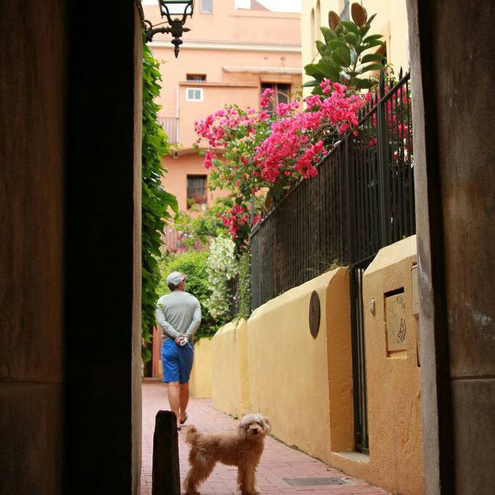 C7303553 bd77 4091 af88 759f0889e8f7 1589465760064