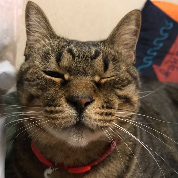 C7304150 bf2b 45d8 99f9 8b0710217583 1643639985703