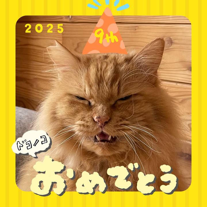 C7304811 05fa 48de 8952 9852aa05315e 1749116071030