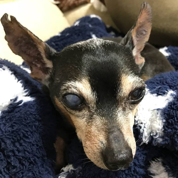 C7306249 a144 4dbb b117 d1cb7442bad7 1556707526440