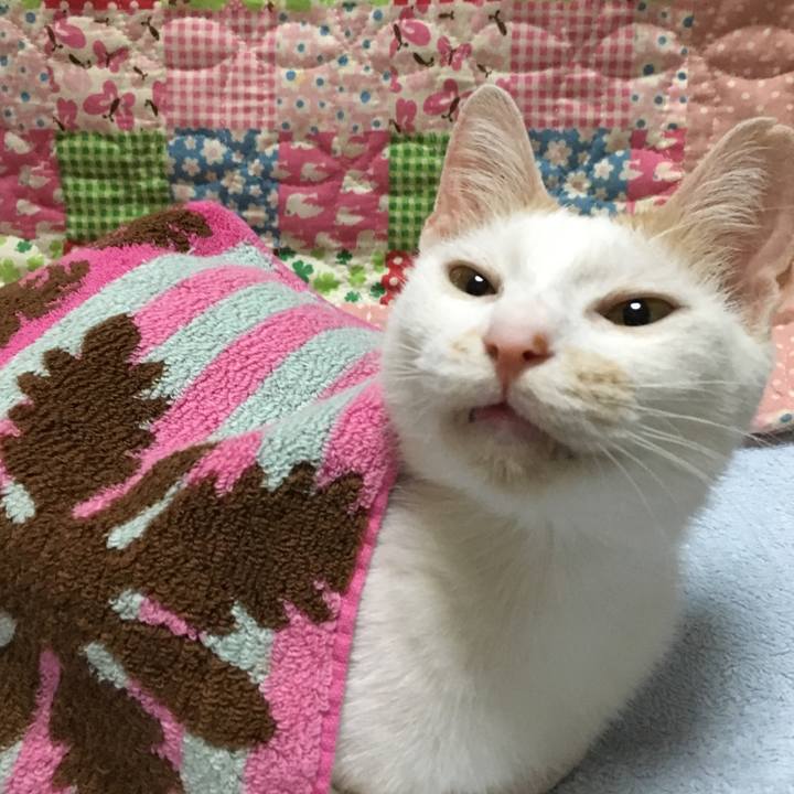 C7308db2 bfc3 48b5 af12 0d8ed159f76d 1533888139652