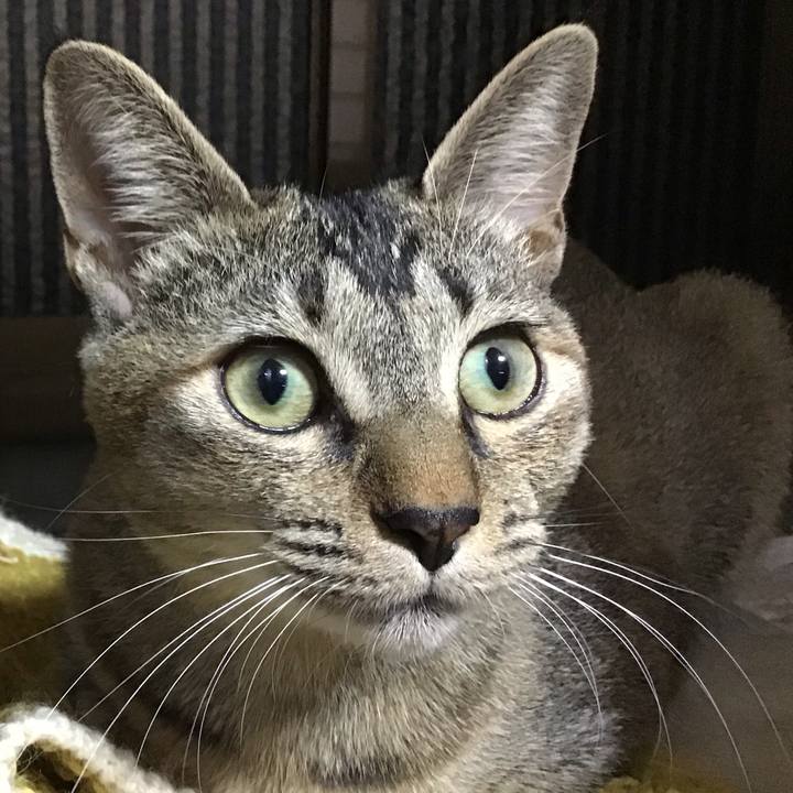 C730e26e 4b8b 49b6 8a72 ba7a917b2e1d 1574848754510