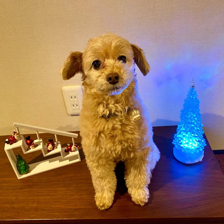 C730e282 99d0 4a40 b708 6b16f16fd661 1577264572169