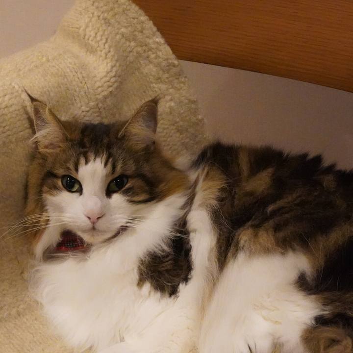 C730eaa1 6a26 4293 989e 1d35cb074e88 1611756352789