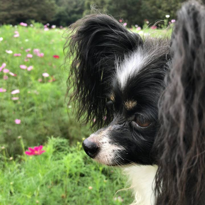 C7310daf e782 449d ab14 004a74be644f 1537744586461