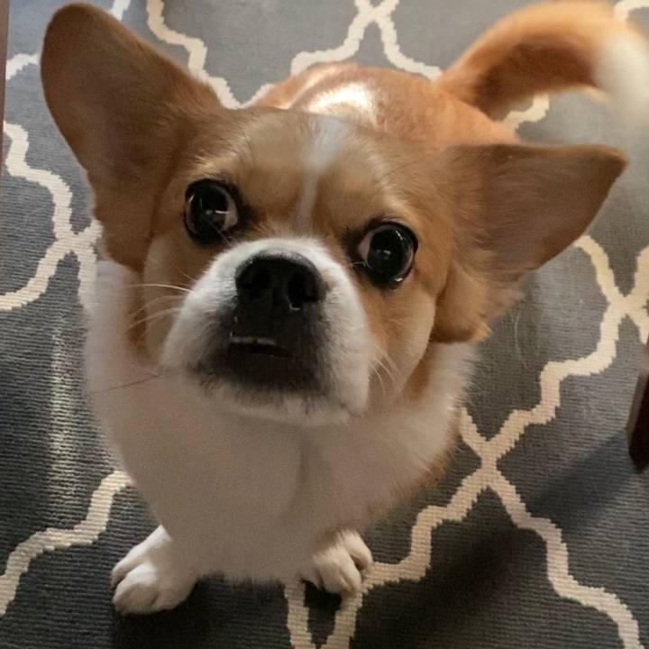 C7314585 4a38 4554 97e1 81ae9572b578 1641648182830