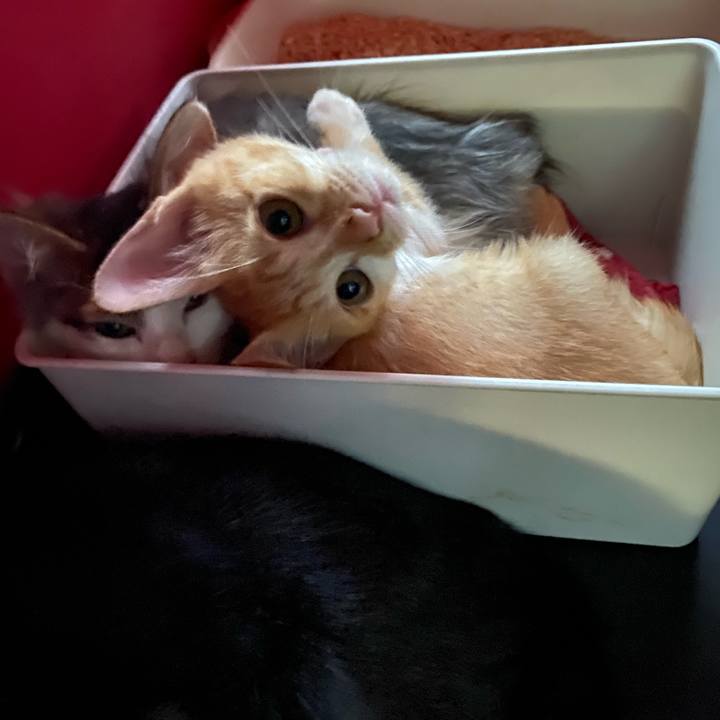 C7314e29 2db4 444a b76f 16194e12f27b 1631518524232