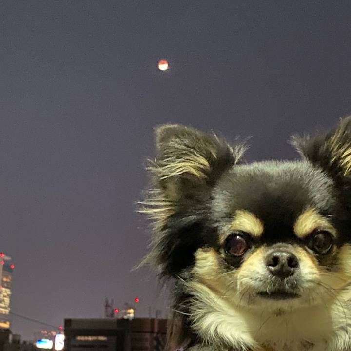 C731e203 4382 48aa 9ea5 57e072206b6f 1637315110695