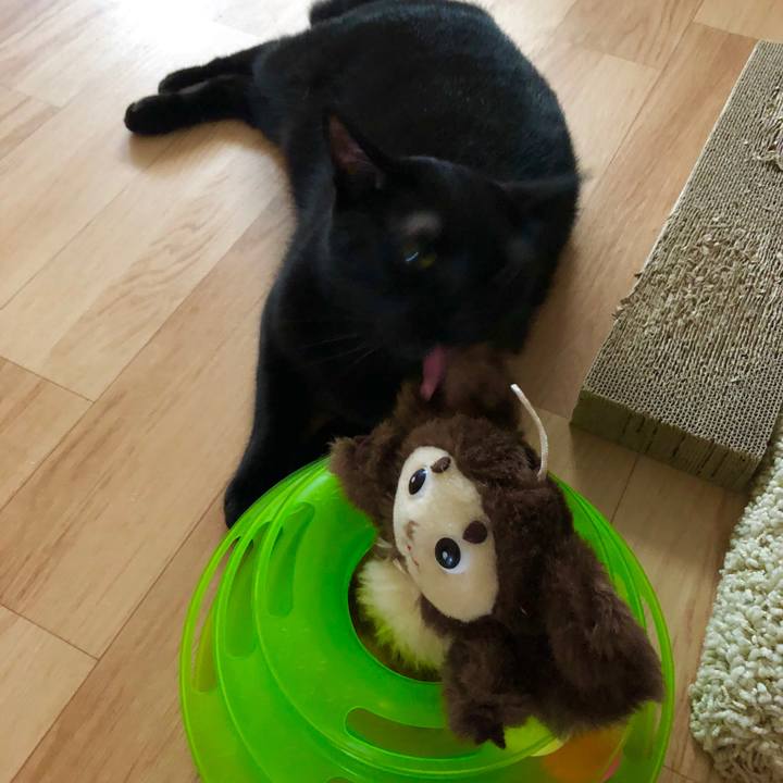 C731ebc7 0e59 412d b212 c84c16c1d190 1538355072649