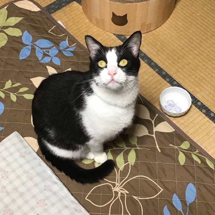 C731f845 bc95 477b afed bcdf1ef5c6ea 1728294111854