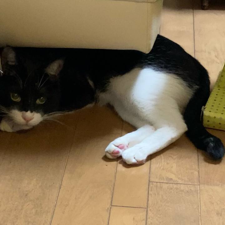 C7323c40 fd4c 46da a44e 43e1176b15c3 1673253588165