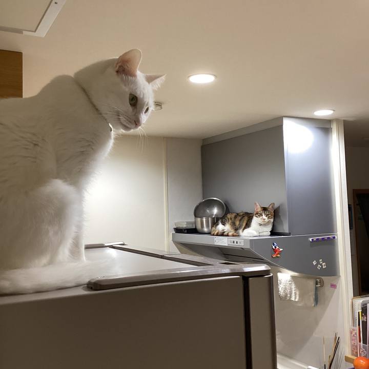 C7325460 d4cc 4d64 adbc f09846c541c6 1669589388989