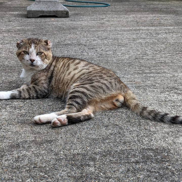 C73263bc 4518 419a b7fb 51e9a8bf9573 1688817024603