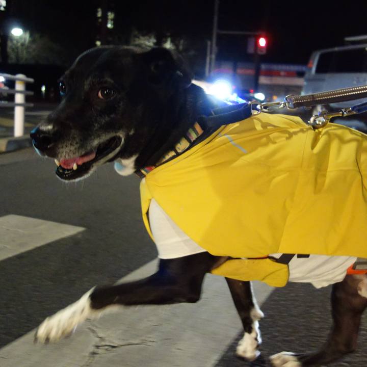 C732892e f780 4057 a25b 97c4e8f1aada 1737975136464