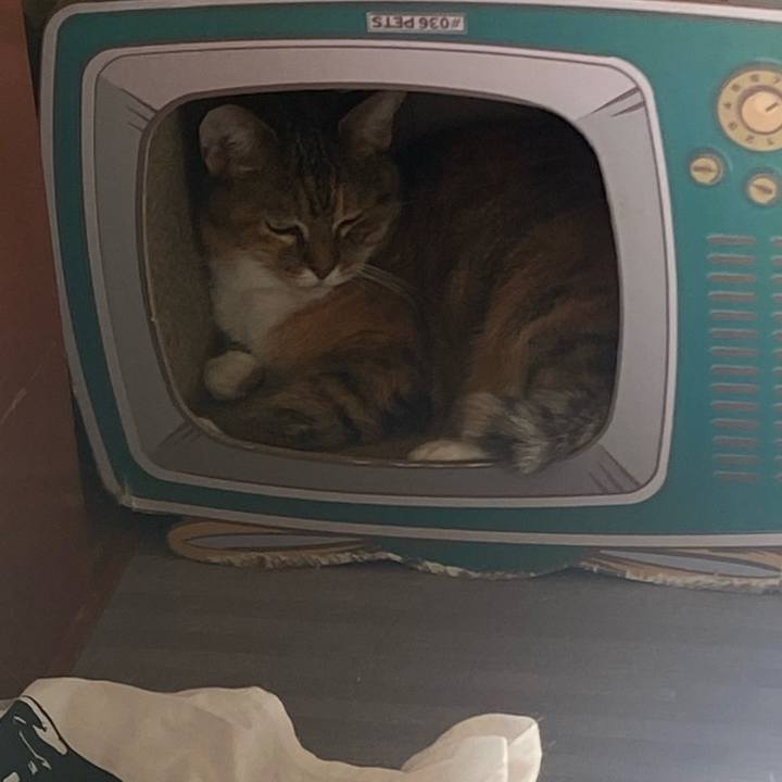 C7328cb8 8bc5 45dd 9ee1 13e8557cd4b9 1664070625211