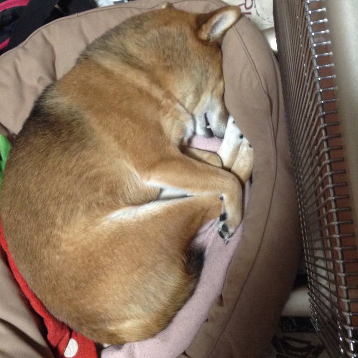 C732944f 51bc 43af a814 b6a2f82dc745 1512309976099