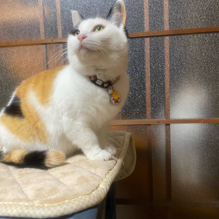 C732b1bf 5907 46ad b1a0 9fed5f58509d 1646859939250