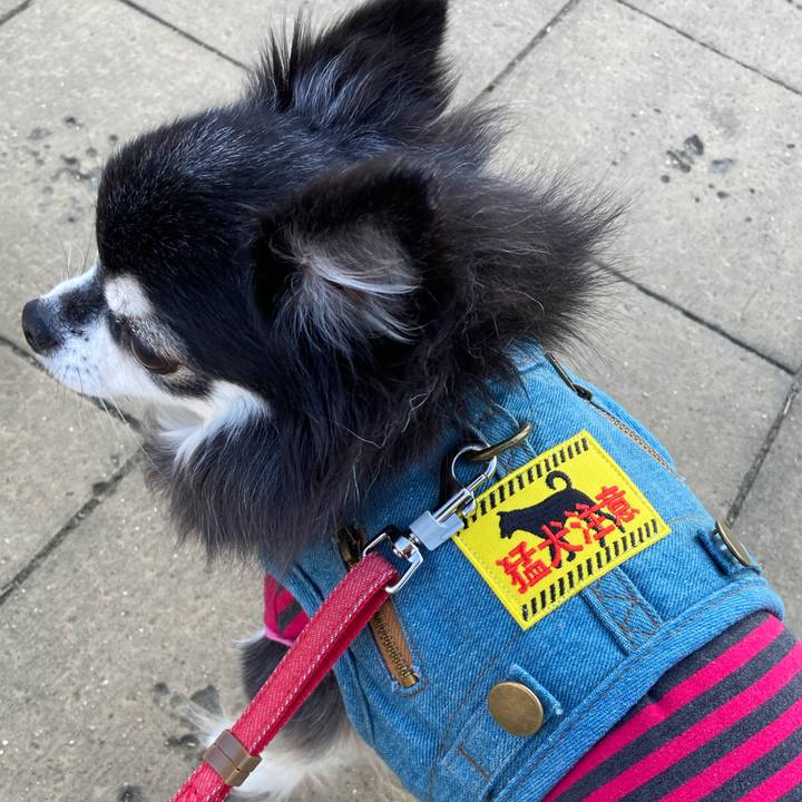 C732b89f a730 4366 bd1f f7563419d0e7 1761814498049