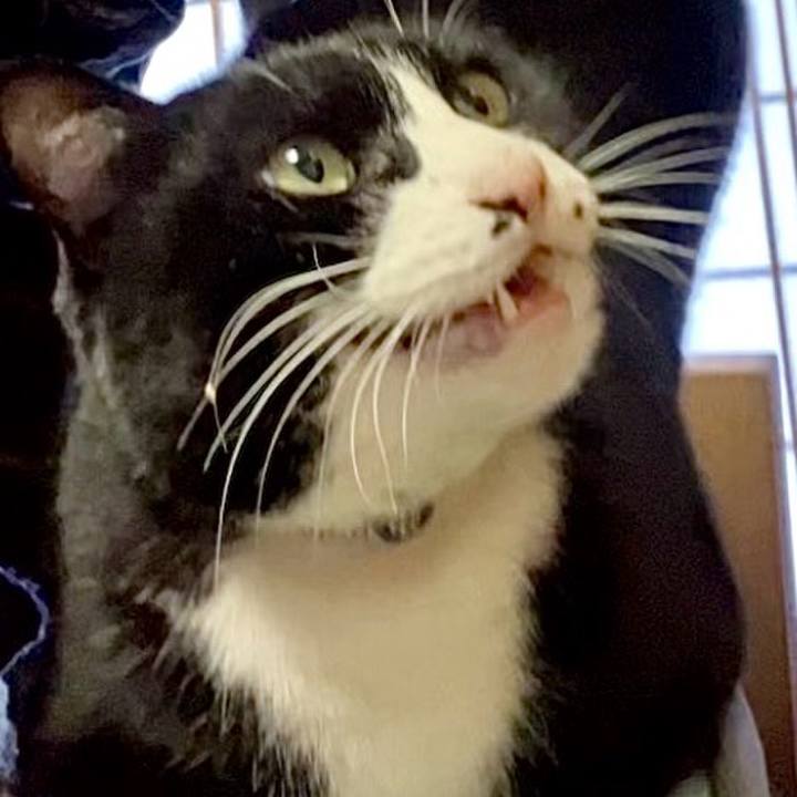 C7337337 350f 47f9 8be1 60a8e0263389 1737597128804