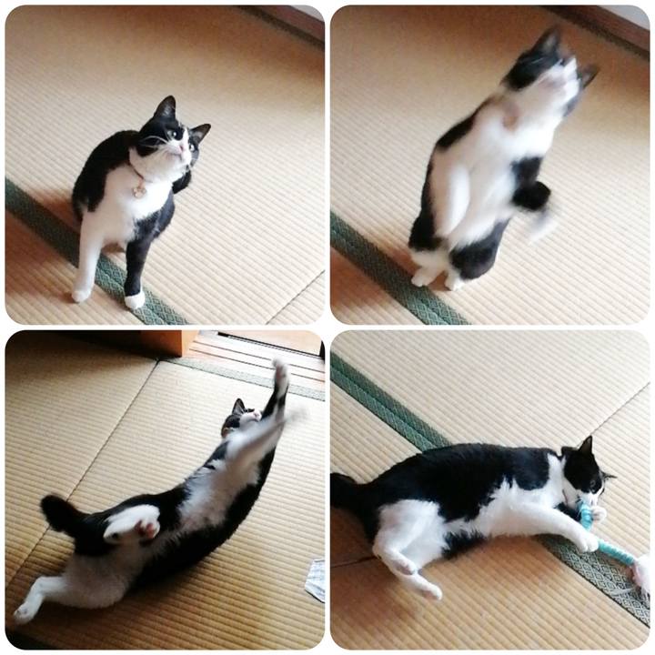 C7339e7c 041a 456a b30d 10c0bb8db9f1 1555141132534