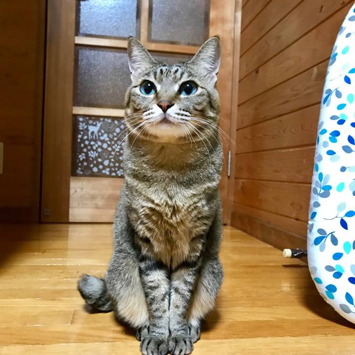 C733afb4 a233 42c9 8c9e d984a8d83935 1549524422054