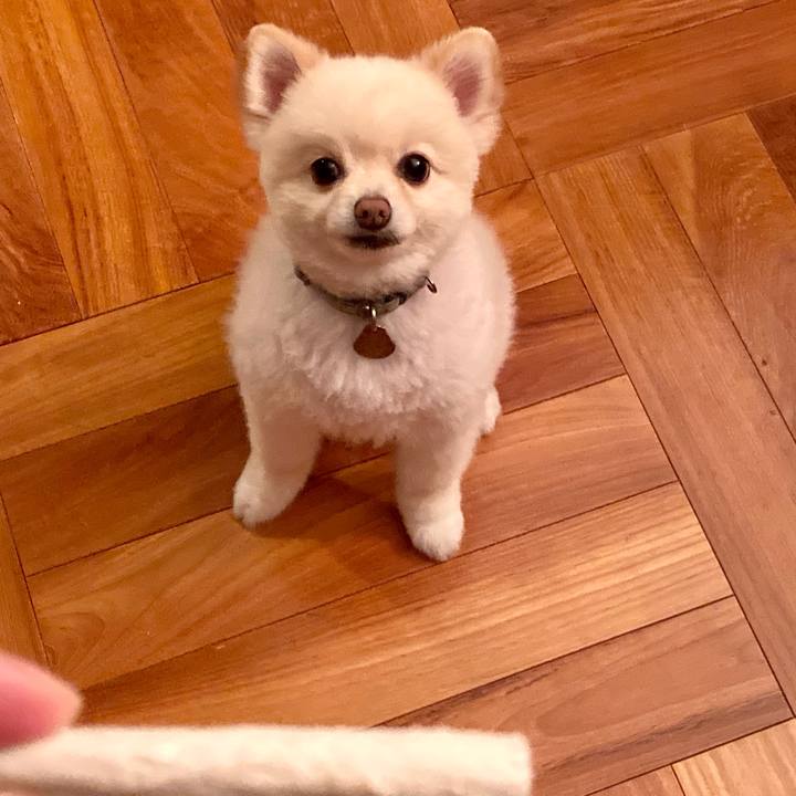 C733bc19 4fe4 430a ade2 ddb08b895d68 1626870049161