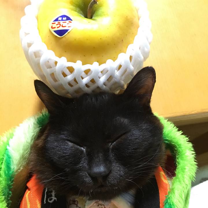 C733d529 8ffd 4965 9b61 a365b67269a8 1546911461173