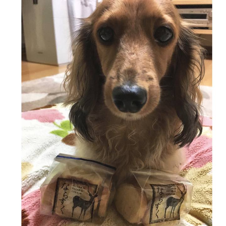 C733de2d 8567 461d b542 78415faf49f4 1510736268986