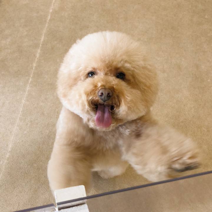 C733fb7c 6b28 4d4f 9768 ccc878d958dc 1512983014302