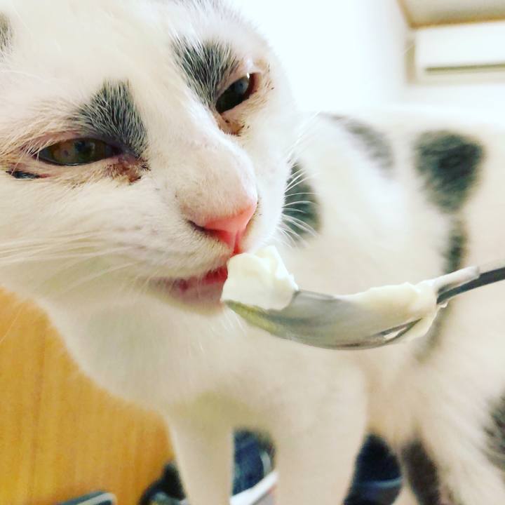 C73403f1 b690 49f0 9a56 1daad72b71ad 1510839477176