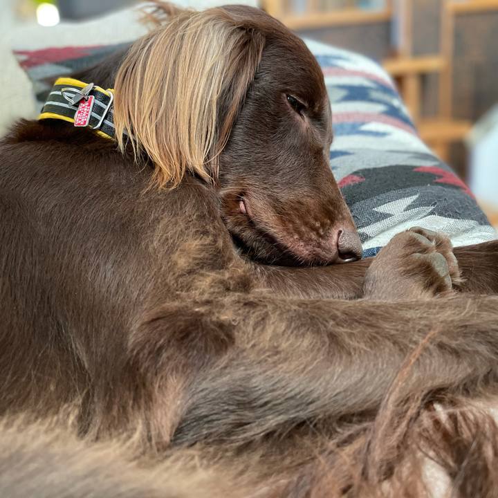 C734262b 6aac 4054 9e31 90fdb31b4867 1607991732086