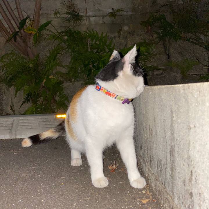 C7344bd6 96cc 4fa7 873d 155b51274347 1635345093573