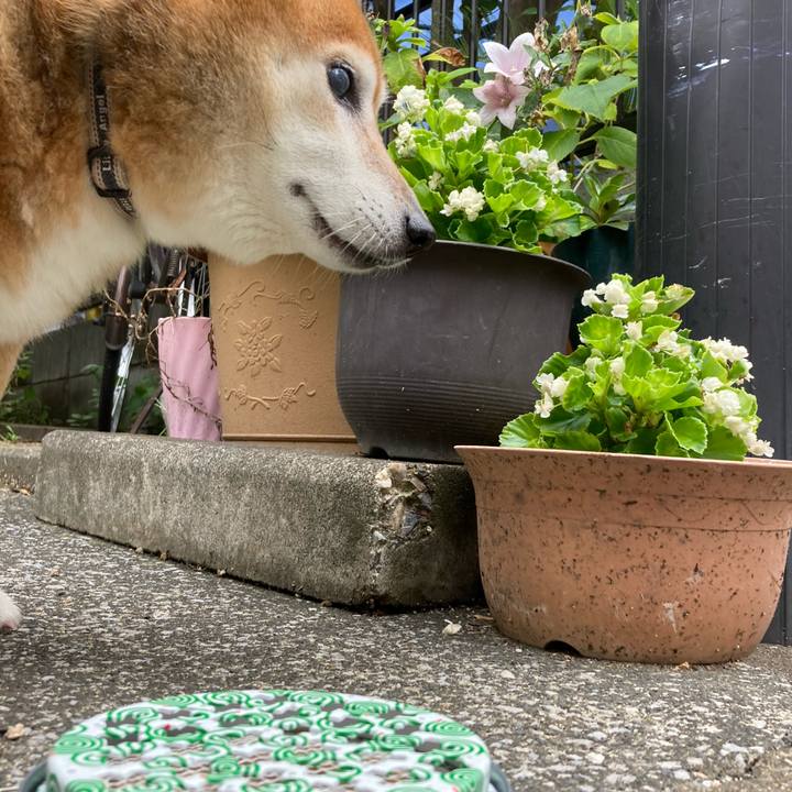 C7347af5 7477 4d20 bbca 53351bfd1d17 1692159862560