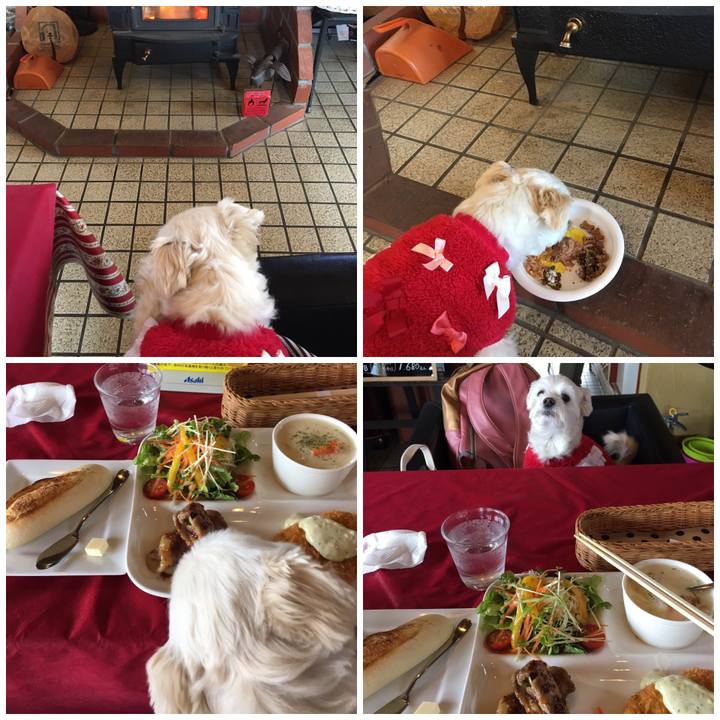 C7347b54 4318 463b b6ae 6fd4a11b6d42 1550289417888