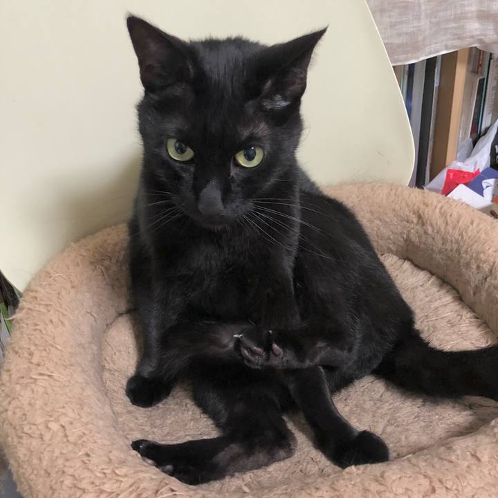 C734a8e8 53c5 4c80 ab68 ce1ad0a5ba7d 1620122538429